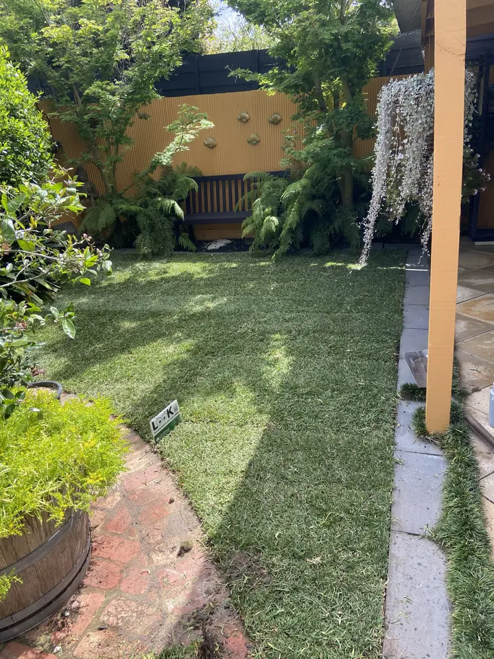Beaumaris: New lawn through an established garden, photo 2 of 4