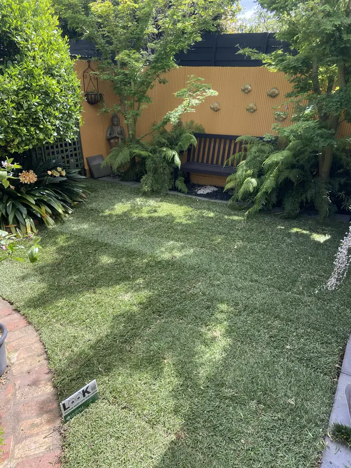 Beaumaris: New lawn through an established garden, photo 3 of 4