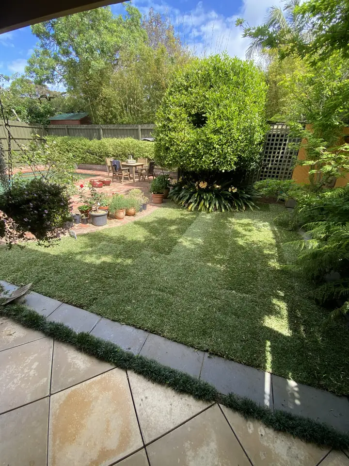 Beaumaris: New lawn through an established garden, photo 4 of 4