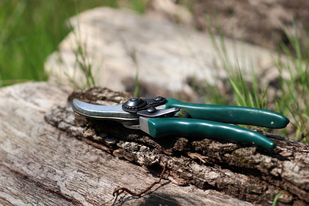 Garden pruning shears resting on a rock